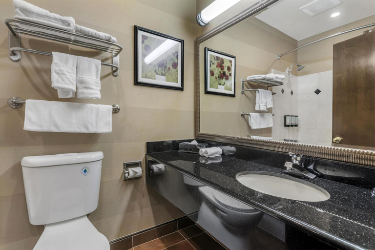 Bathroom 5, Best Western Plus Brookside Inn, Santa Clara