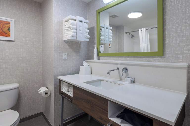 Bathroom 4, Hampton Inn Dade City - Zephyrhills, Pasco