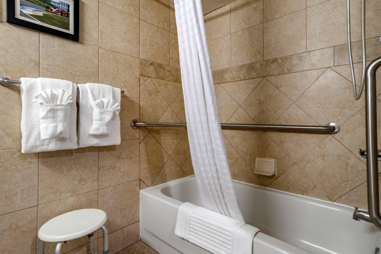 Bathroom 4, Comfort Inn Birmingham Homewood, Jefferson