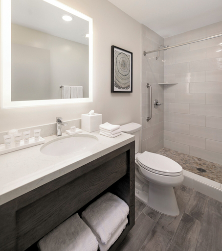 Bathroom 4, Seacliff Inn Aptos, Tapestry Collection by Hilton, Santa Cruz