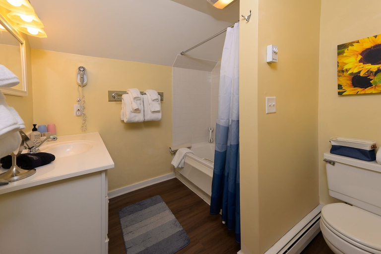 Bathroom 4, Brass Lantern Inn, Lamoille