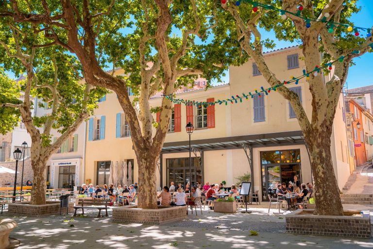 Exterior & Views 2, Sous les platanes, Bouches-du-Rhône