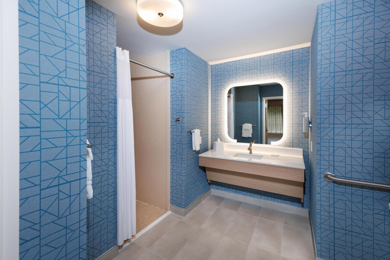 Bathroom 4, Homewood Suites by Hilton Rochester - Victor, Ontario