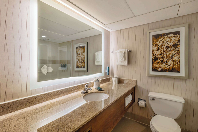 Bathroom 4, DoubleTree by Hilton Hotel Lawrence, Douglas