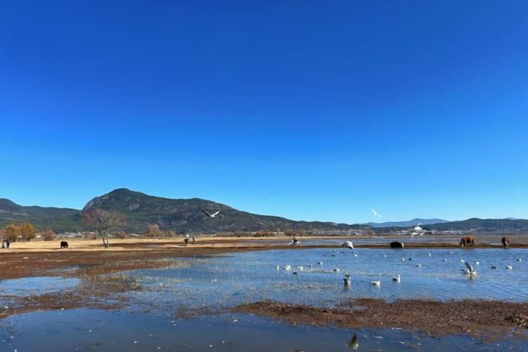 Others 5, Kaise Hotel (Lijiang Bailong Square Branch), Lijiang