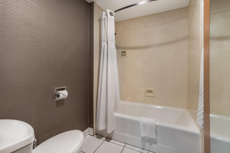 Bathroom 4, Best Western Windsor Inn, Jackson