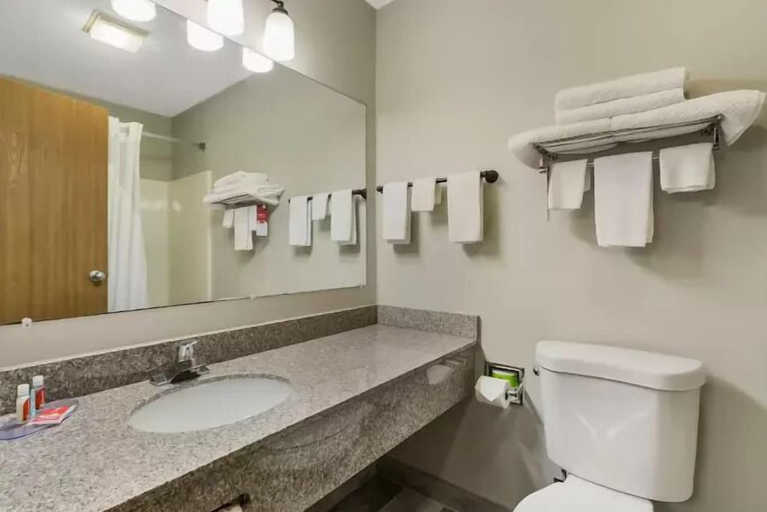 Bathroom 4, Econo Lodge Inn & Suites Yankton, Yankton