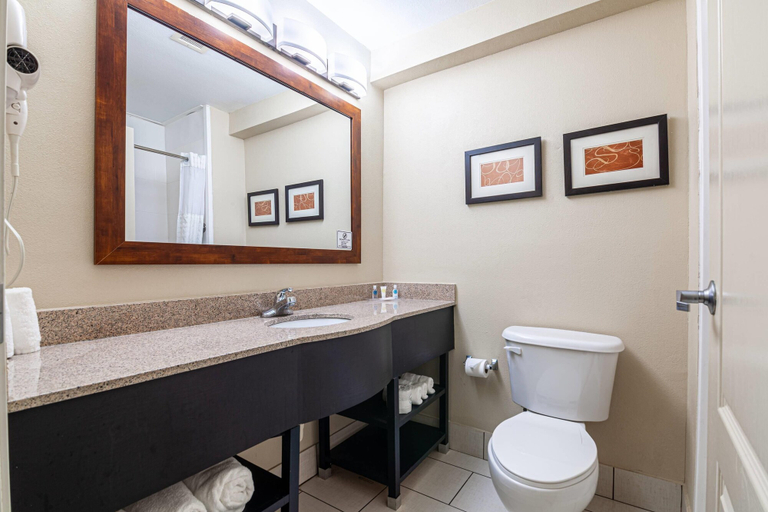 Bathroom 4, Comfort Suites Morrow - Atlanta South, Clayton
