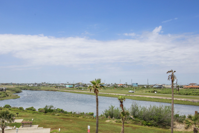 Others 5, Pineapple Paradise by Ryson Vacation Rentals, Galveston