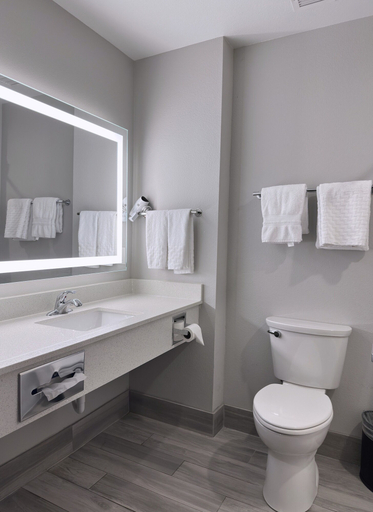 Bathroom 4, Merica Inn & Suites, Van Zandt