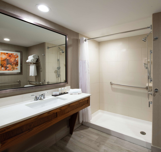 Bathroom 4, Embassy Suites by Hilton Colorado Springs, El Paso