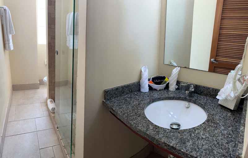 Bathroom 4, Sea Palace