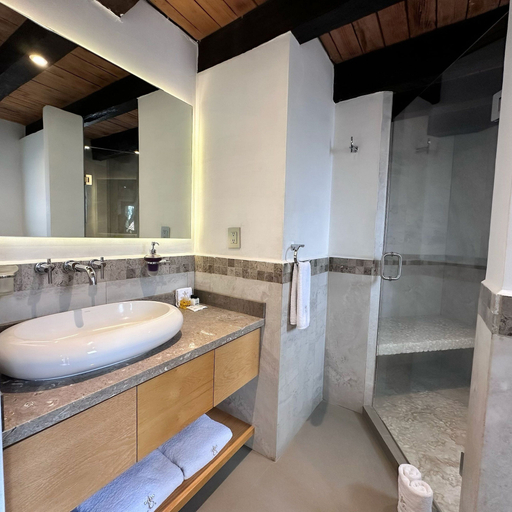 Bathroom 5, Pietro Santo, Huejotzingo