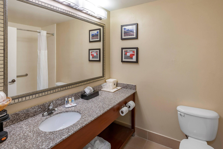 Bathroom 4, Comfort Inn & Suites Lincoln I-20, Talladega