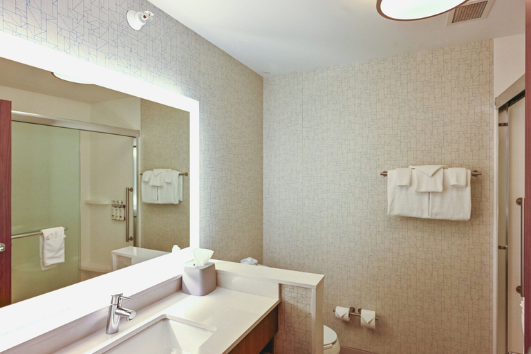 Bathroom 5, Holiday Inn Express HOUGHTON-KEWEENAW by IHG, Houghton