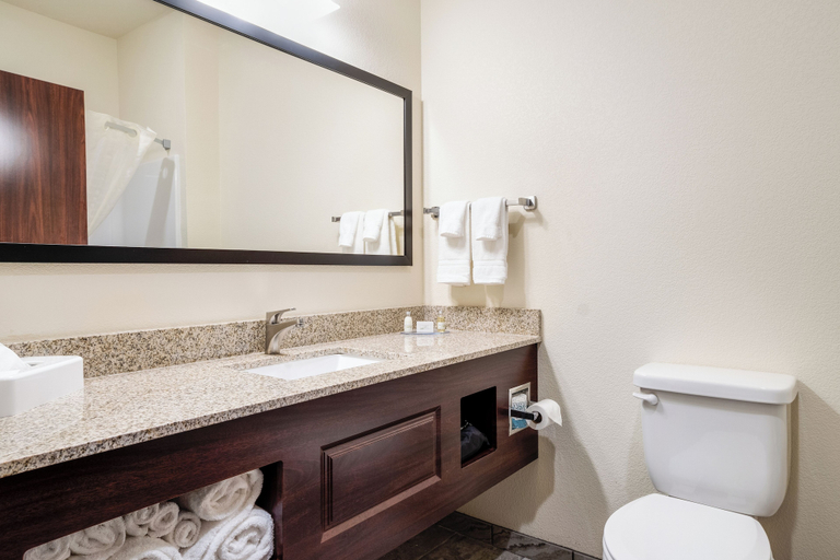 Bathroom 3, Cobblestone Hotel & Suites - Newport, Jackson