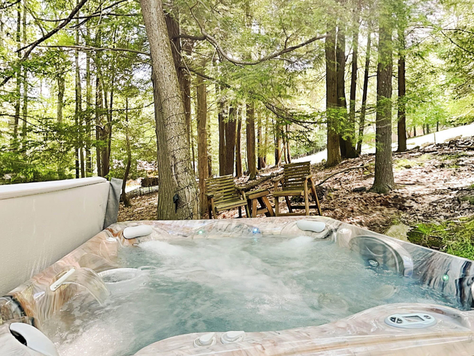 Sport & Beauty 4, Acorn Cottage by Taylor Made Deep Creek, Garrett