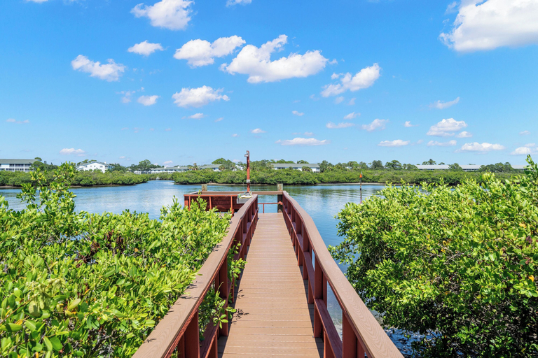 Others 3, Seashell 19 by Distinctive Beach Rentals, Pinellas