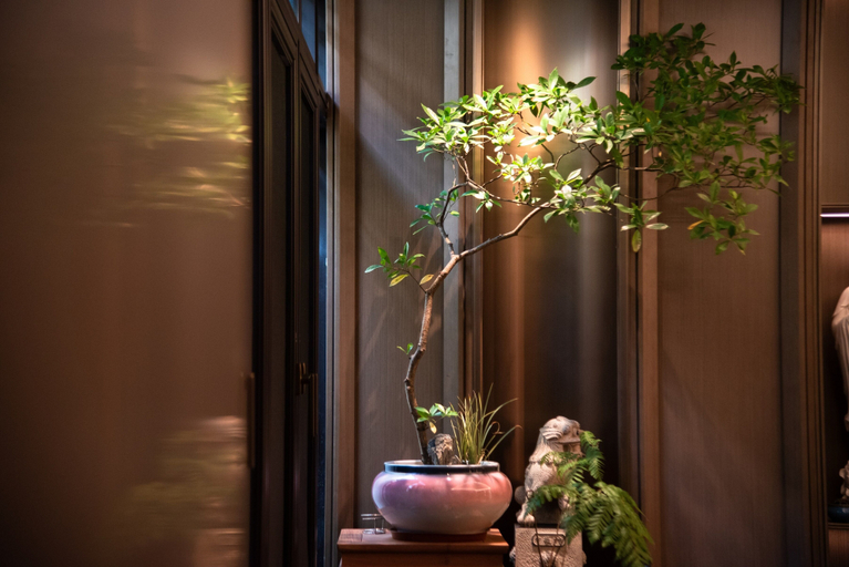 Interior 4, FUORTUNE S Hotel-Chaozhou Kaiyuan Temple, Chaozhou