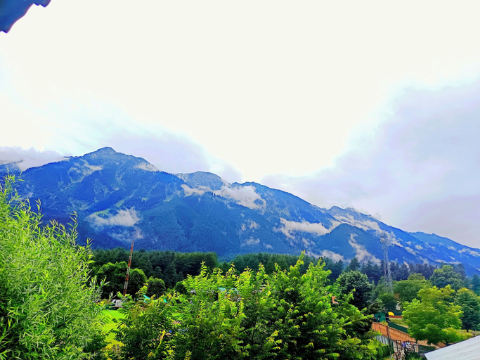 Room 4, FLORA AND FAUNA GUEST HOUSE PAHALGAM, Anantnag
