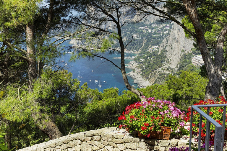 Others 4, Villa Polifemo in Capri, Napoli