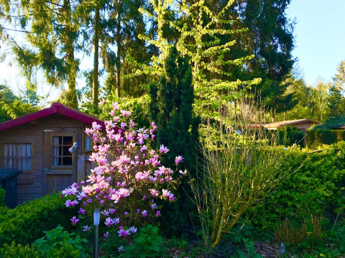 Others 2, Chalet in Veluwe Near De Grote Ark, Barneveld
