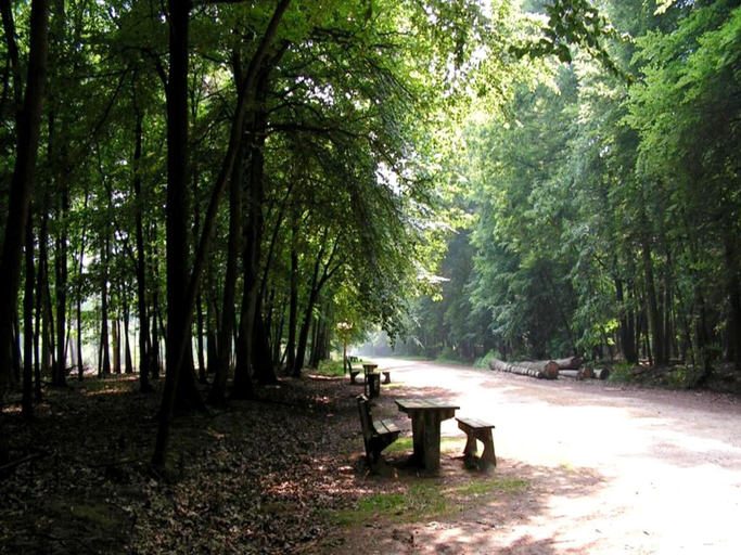 View from property 5, Cordelia Lodge with Garden & Picnic Area, Antwerpen