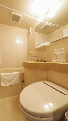 Bathroom, Niigata Hotel Terminal Inn, Niigata
