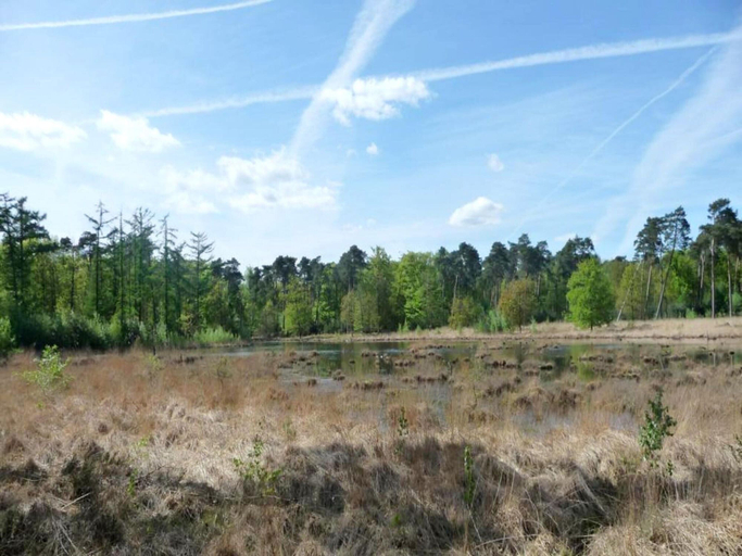 View from property 2, Luxury Forest Lodge with Private Garden, Antwerpen