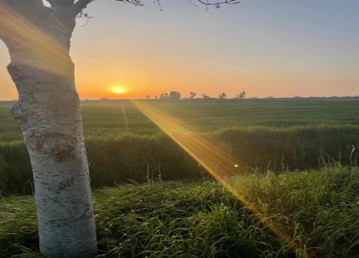 View from property 3, Barn Stay With Soul in Noordgouwe, Schouwen-Duiveland