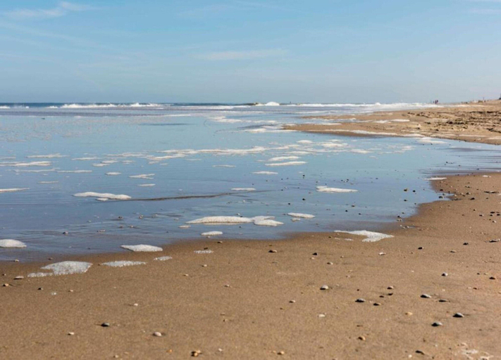 View from property 2, Holiday Home in Noordwijk Near the Beach, Noordwijk