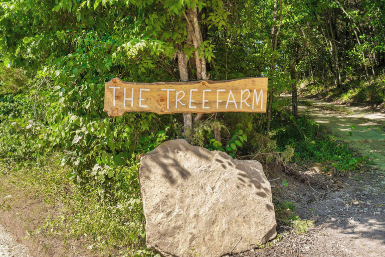 Others 3, Cedar Creek - Glamping in the Ozarks!, Taney