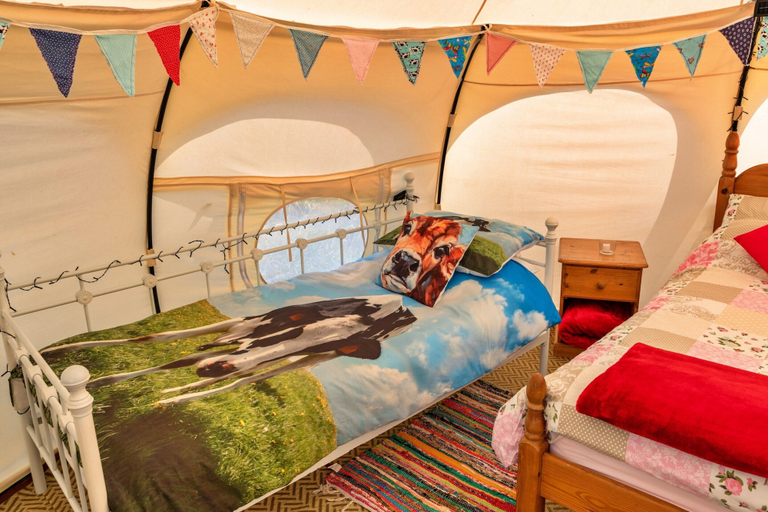 Room 5, Bell Tent in North Devon, No Deposit, Devon