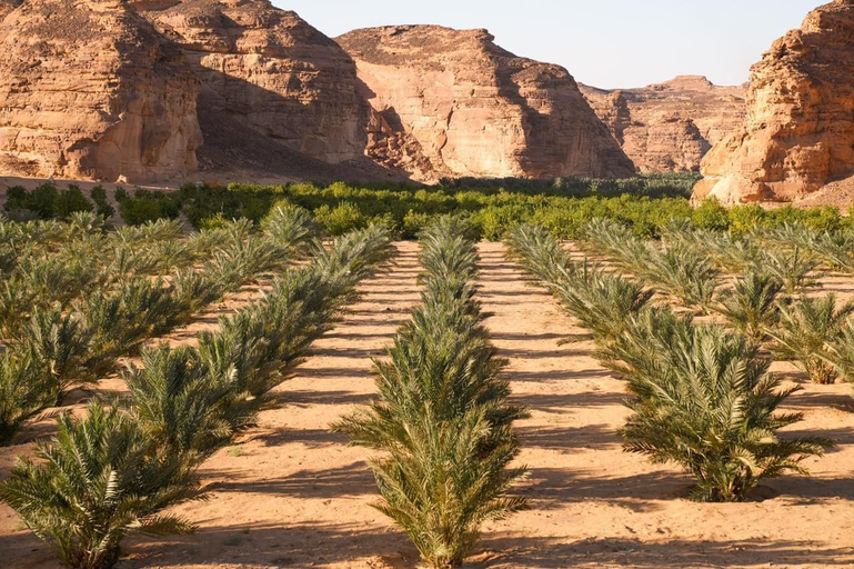 Miscellaneous 2, 26 North Al Ula by Prime Hotels