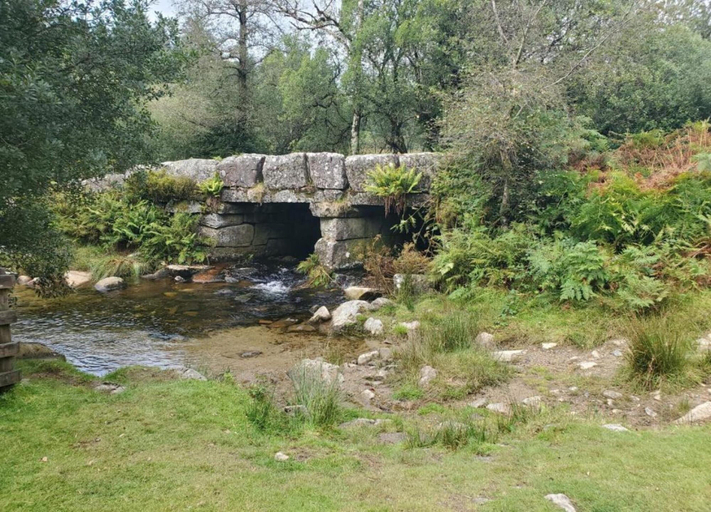 View from property 5, Cottage Near Dartmoor With Hot Tub, Devon