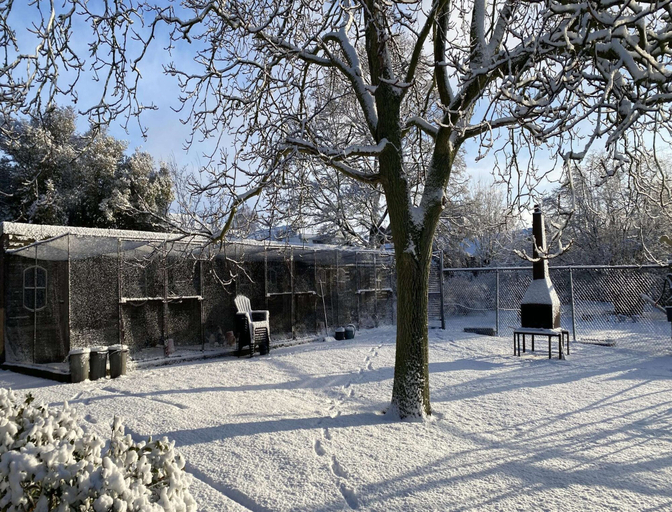 Garden 4, Holiday Home in Bergen op Zoom With Garden, Bergen op Zoom