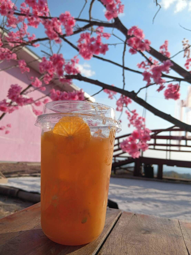 Food and drink, PHUTAWAN NAN 1081, Santi Suk
