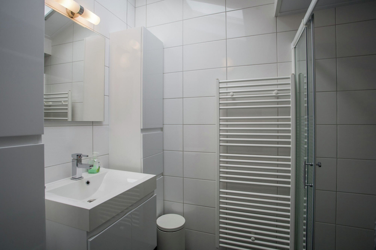 Bathroom 5, Terrace Apartment in Kattendijke, Goes