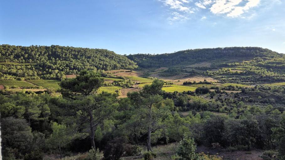View from property 4, Inviting Holiday Home in Pierrerue, Hérault