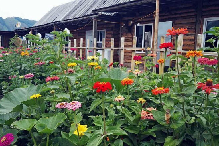 Others 5, Burqin Kanas Butterfly Villa, Altay