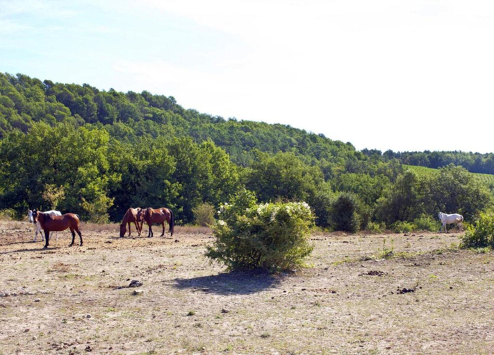 View from property 2, Elegant Villa in Fayence, Var