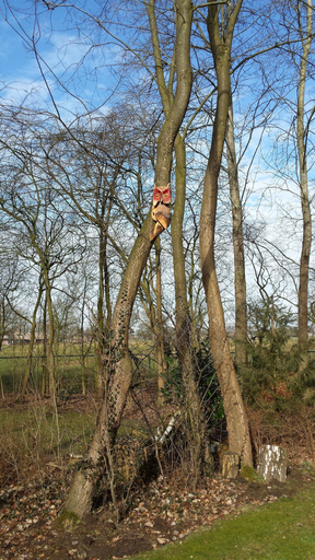 Others 5, Holiday Home in Heeten Near Forest Trails, Raalte