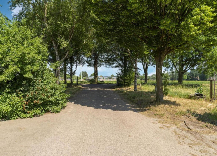 View from property 4, Pet-friendly Getaway, Borculo