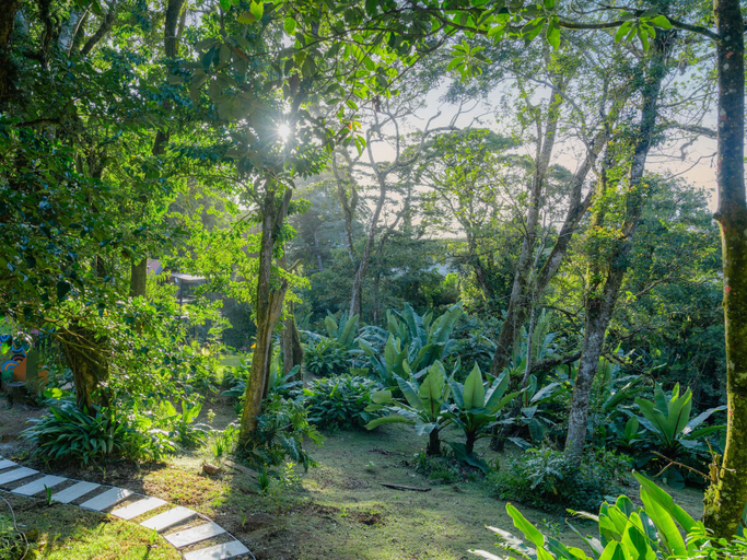 Property grounds 3, Nido de Montaña, Alajuela