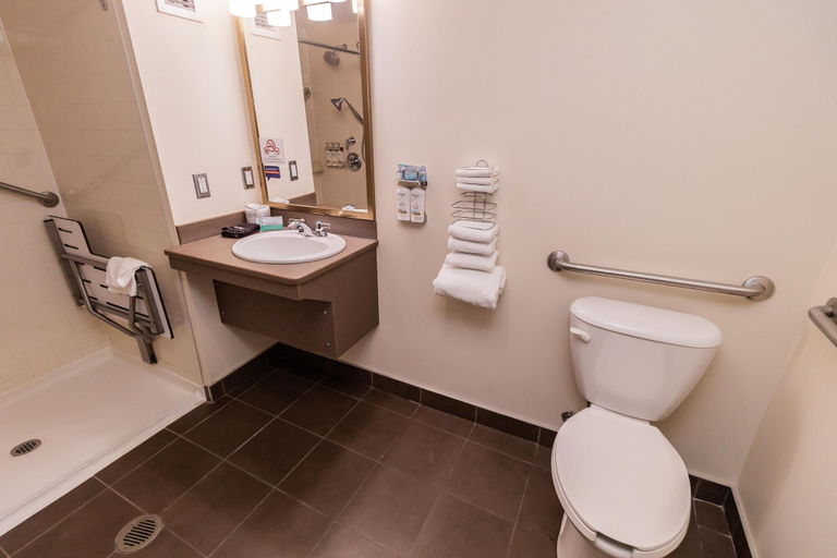 Bathroom 4, Deer Lake Horizon Hotel, BW Signature Collection, Division No. 5
