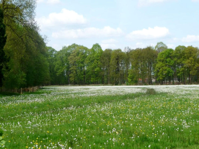 View from property 4, Beach Lodge With Lake View in Ravels, Antwerpen