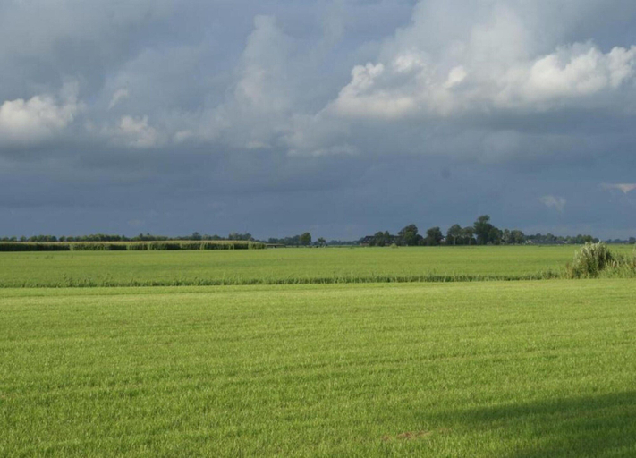 View from property 2, Farmhouse by Lauwers River With Rowing Boat, Kollumerland c.a.