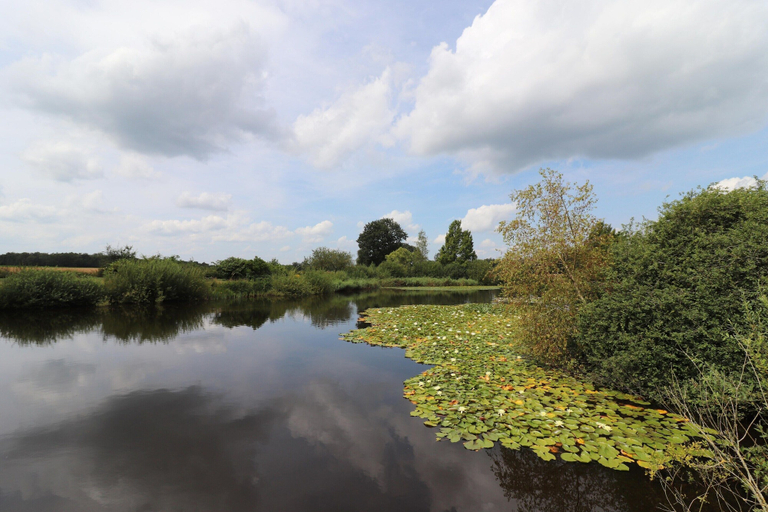 Garden 3, Villa in Ommen With Private Pond, Hardenberg