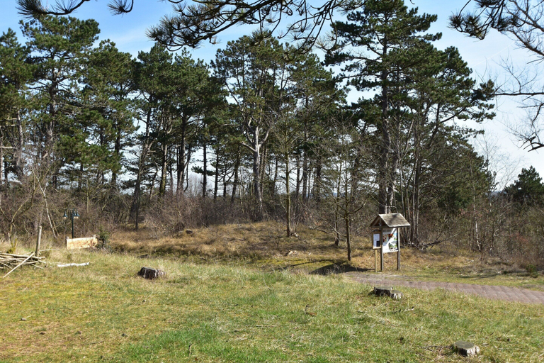 Others 5, Holiday Home Bergen Near Beach & Dunes, Bergen