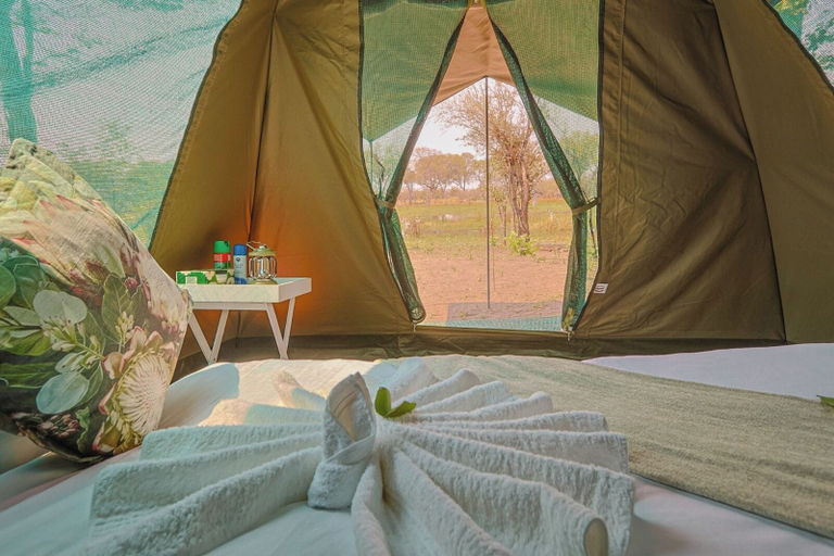 Bedroom 3, Khwai Mokoro Safaris and Campsites, Ngamiland East